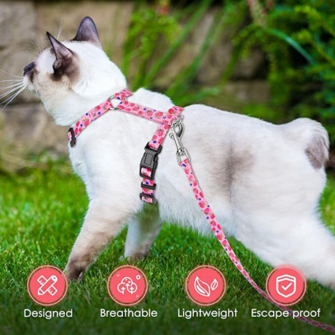 Hachiko Cat Collar Cute Bow Tie Bell With Harness Set Adjustable