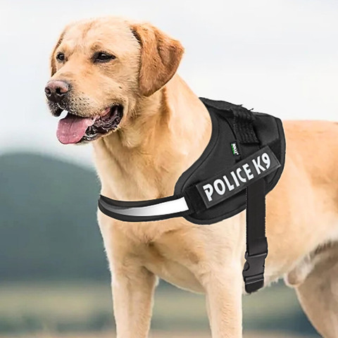 Dog Vest Police Dog Leash Police Dog Harness Vest New Arrivals - Main Image