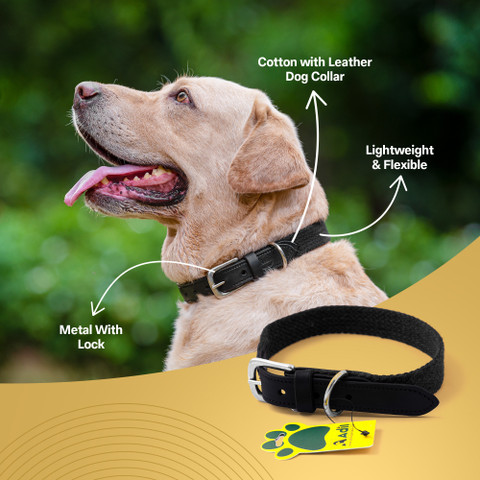 Collar Leash Labrador Dog Neck Belt Dog Belt For Golden Retriever