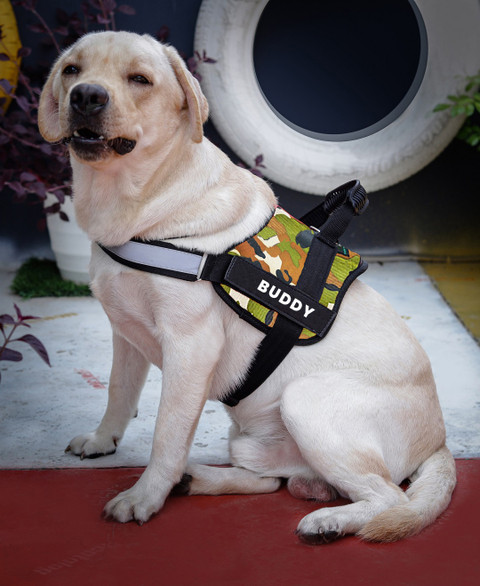 ALCAZAR Dog Vest Harness, Adjustable Size (S, Recommended for