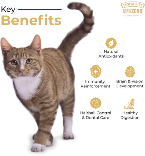 Grain Zero Ocean Fish, Sardine, and Mackerel 20 kg Dry Adult Cat Food - Image 6