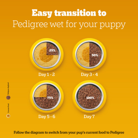 When To Switch From Puppy To Dog Food: Essential Timing Tips