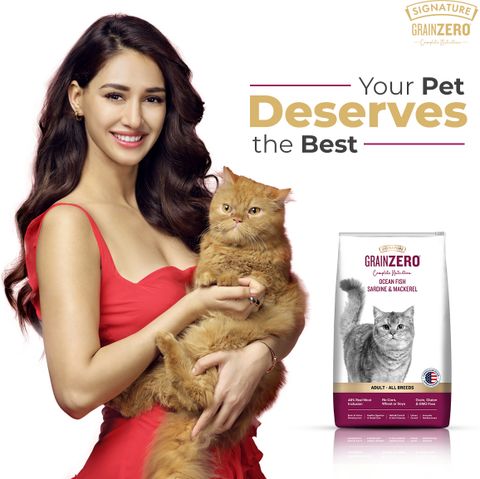 Grain Zero Ocean Fish, Sardine, and Mackerel 20 kg Dry Adult Cat Food - Image 5