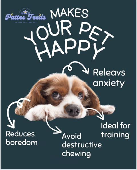 PATTES FEEDS Dog Chew Bone inch Chicken kg kg) Dry