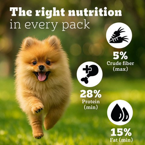 PEDIGREE Small Breed (2-9 Months) Chicken kg Dry Young Puppy