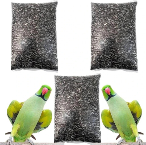 The Parrot Food Sunflower Seed for African Grey Indian Ringneck