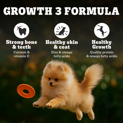 Pomeranian Puppy Vitamins For Pomeranian Vitamins For Pomeranian