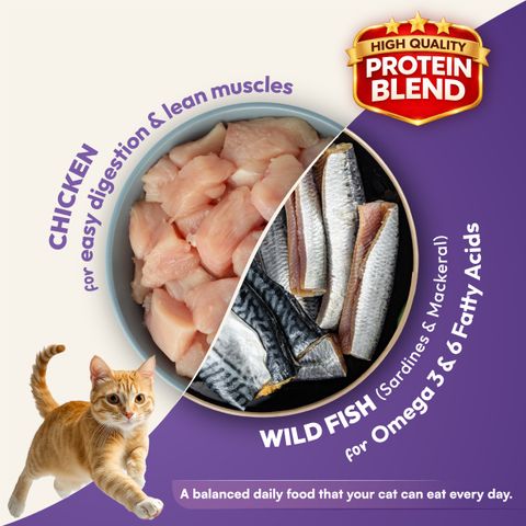 DatGud Chicken & Wild Fish, Adult Dry Cat Food Fish 1 kg Dry Adult Cat Food - Image 5