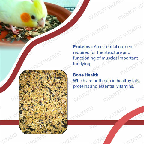 Parrots Wizard Love bird Food 11-15 Types of Seed Mix for Budgies,  Cocktails and ,Small Birds kg Dry Adult, Young, Senior Bird Food