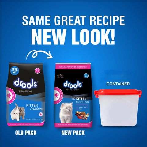 Drools With Container Ocean Fish kg Dry Young Cat Food Price