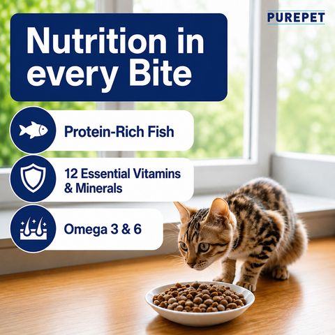 Purepet Ocean Fish 1 kg Dry Adult Cat Food - Image 6