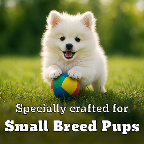 PEDIGREE Small Breed (2-9 Months) Chicken kg Dry Young Puppy Food