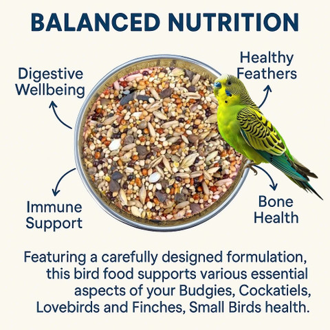 Parrots Wizard Love bird Food 11-15 Types of Seed Mix for Budgies,  Cocktails and ,Small Birds kg Dry Adult, Young, Senior Bird Food