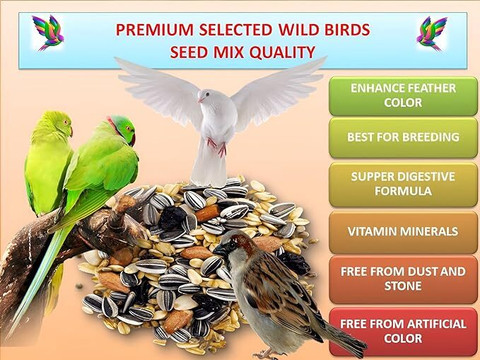 Green view Seed Mix for Wild Birds Sparrow| |Ring Neck Parrot 480 GM Fish  kg Dry Adult Bird Food - Main Image
