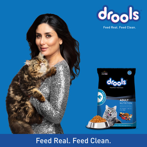 Drools Ocean Fish 20 kg Dry Adult Cat Food Price in India Buy