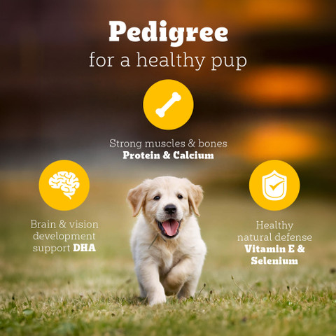 PEDIGREE 100% Nutrition Chicken, Milk kg Dry Young Puppy Food