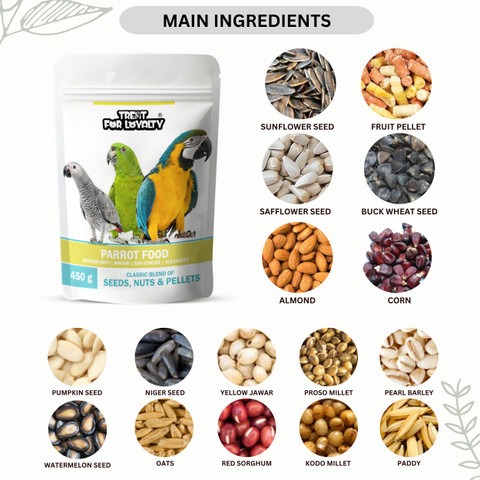 TREAT FOR LOYALTY Parrot Food For All Life Stages African Grey Parrot,Sun  Conure,Macaw Alexander kg Dry Adult Bird Food