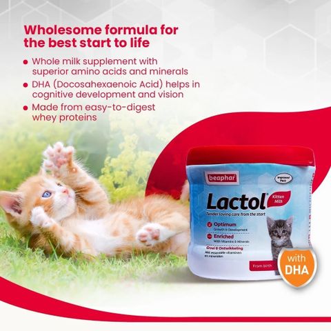 Beaphar Newborn Kitten Cat Milk with DHA, Vitamin, Minerals, Kitten ...