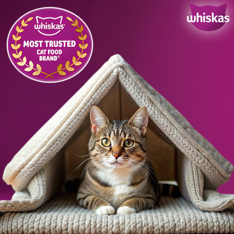Whiskas (1+ Years) Fish 7 kg Dry Adult Cat Food Price in