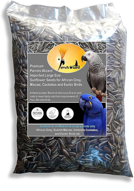 Parrots Wizard Striped Sunflower Seeds High quality kg Dry Adult
