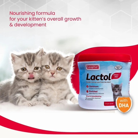 Cat Can Puppies Have Kitten Milk COSI Pet's Milk For Puppy And