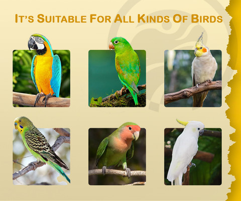 STAR FARMS Bird Booster 50grms Pet Health Supplements Price in