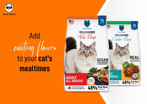 Indoor Cats Best Cat Food Brands Sale Best Canned Cat Food For