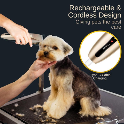 Vaaanex DHT-787 Gold, Black Pet Hair Trimmer Price in India - Buy