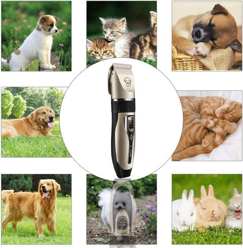 Coolbit Pet Grooming Kit for Cats Dogs for Labrador, Shih Tzu
