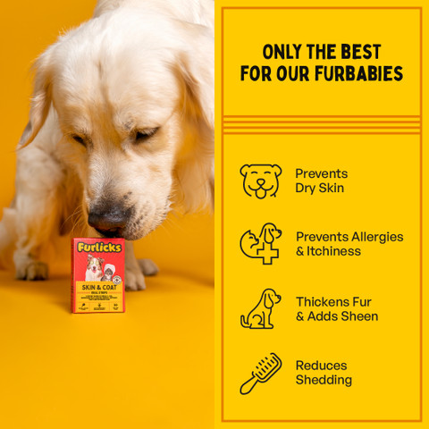 Food Allergies Best Dog Food For Dry Skin And Shedding Furlicks