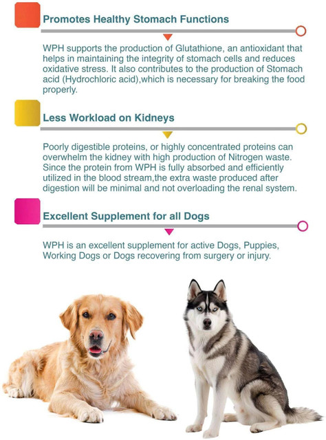 MEDICHEM Doggie power -Whey Protein isolate with 8 essential amino acids,14  vitamins Pet Health Supplements Price in India