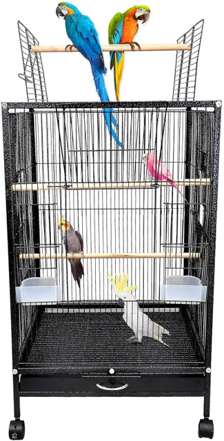 Buraq 30 inch Sturdy large Bird For Finch Lovebird Parrot with