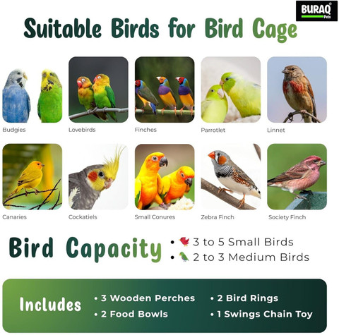 Buraq 30 inch Sturdy large Bird For Finch Lovebird Parrot with