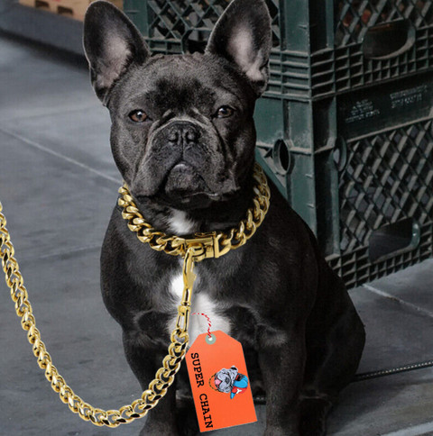 Necklace Gold Leash Big Dog Chains Durable Gold Collars For Luxury