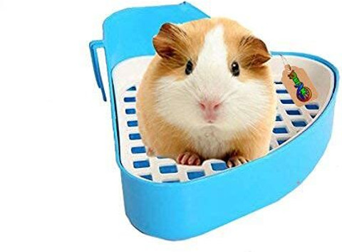 Litter Tray What Can You Train A Guinea Pig To Do Toilet Training