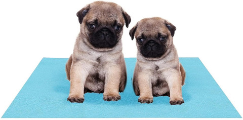 Amorite Reusable Washable Pee Pads-Puppies Washable Dog/Cat Diapers Sea  Blue Dog, Cat, Rabbit Pet Mat