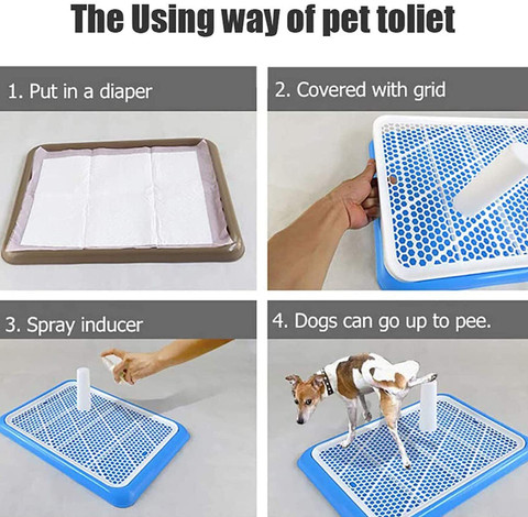 Qpets Dog Potty Tray, Puppy Pee Pad Holder, Plastic