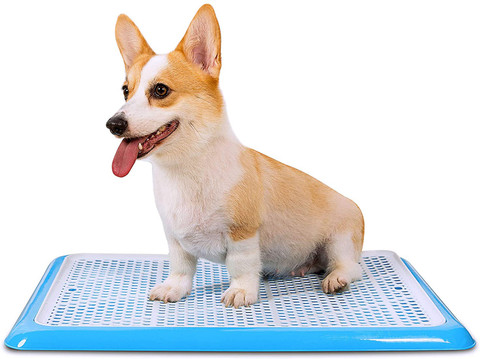 Qpets Dog Potty Tray, Puppy Pee Pad Holder, Plastic