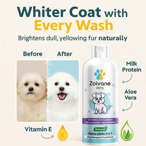 Zoivane Shampoo For Dogs To Stop Itching Critter Concepts Dog