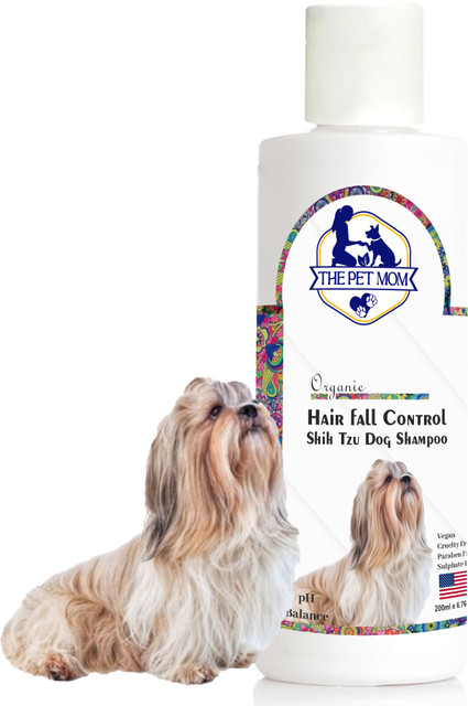 Hair Loss No Shedding Dog Breed Medium Sized Non Shedding Family