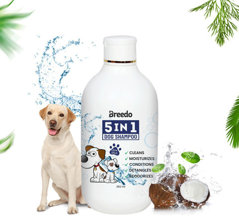 Breedo Dog Need Dog 5IN1 Shampoo Conditioner (250 ml) Anti-Bacterial  Anti-Fungal Allergy Relief, Conditioning, Anti-fungal, Anti-microbial,