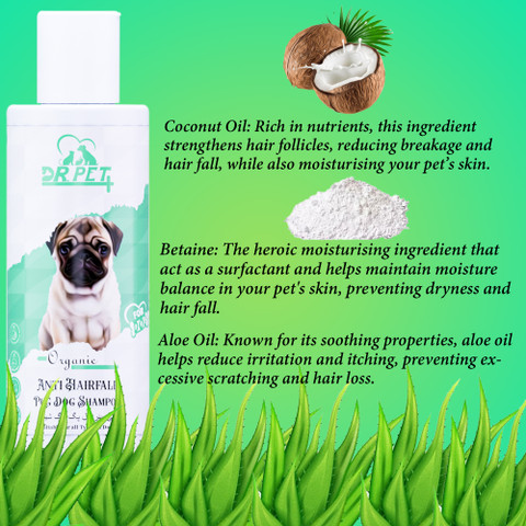 Pug Bad Dog Shampoo DR PET PLUS Organic Anti Hairfall Pug Dog