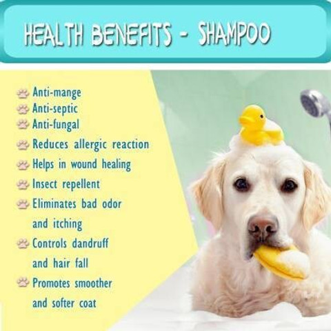 Hachiko Best quality Pack of Dog Shampoo IN (Total 500 ml)  Allergy Relief, Anti-dandruff, Anti-fungal, Conditioning Artificial  Fragrance