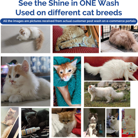 Zoivane Persian Cat Shampoo with Conditioner Anti-dandruff