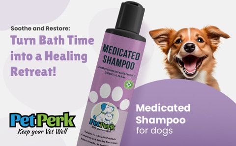 Allergy Itch Relief Best Medicated Dog Shampoo For Itchy Skin