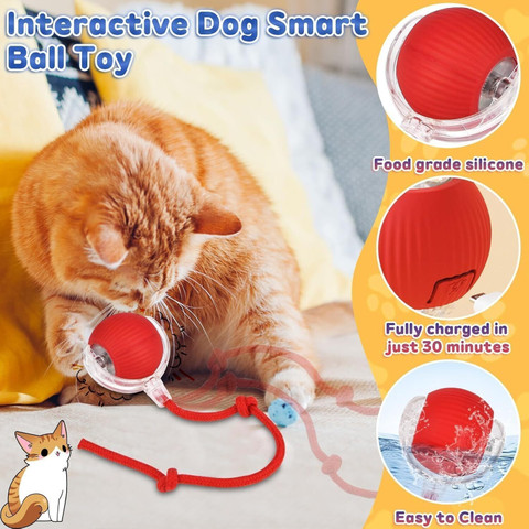 decorvaiz Rolling Cat Toy,Rolling Dog Toy,Smart Pet Ball Toy