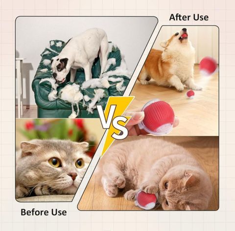 decorvaiz Silicone Plastic Ball for Dog & Cat - Image 5