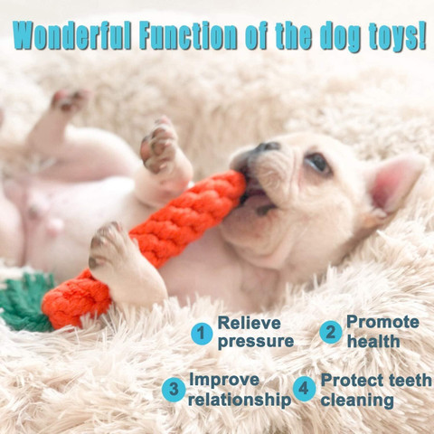 Pet Needs Combo of Durable Pet Teeth Cleaning Chewing Biting