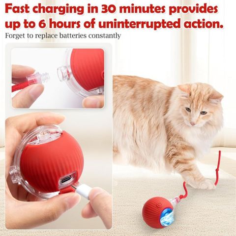 decorvaiz Silicone Plastic Ball for Dog & Cat - Image 7
