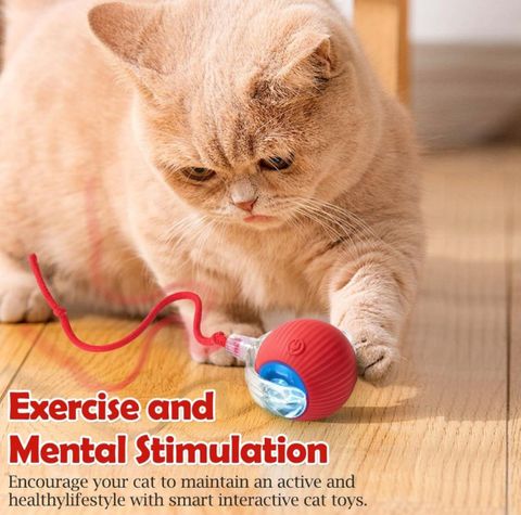 decorvaiz Silicone Plastic Ball for Dog & Cat - Image 6